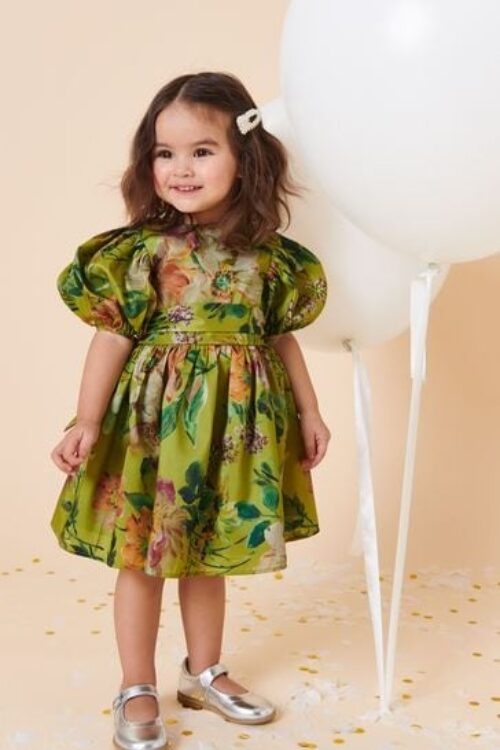 Olive Green Floral Print Taffeta Dress – Olive Green