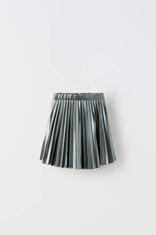 Zara Box Pleat Skirt