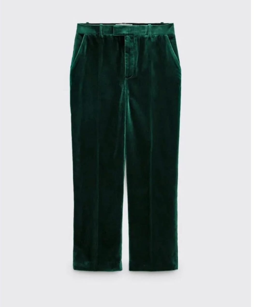 Zara Velvet Trousers